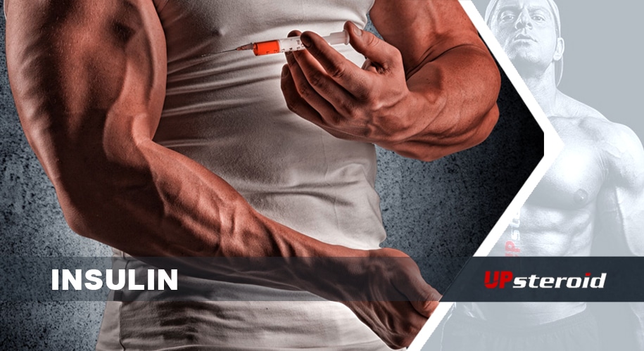 Insulina na musculação | UPsteroid | Compre seus esteróides anabolizantes online