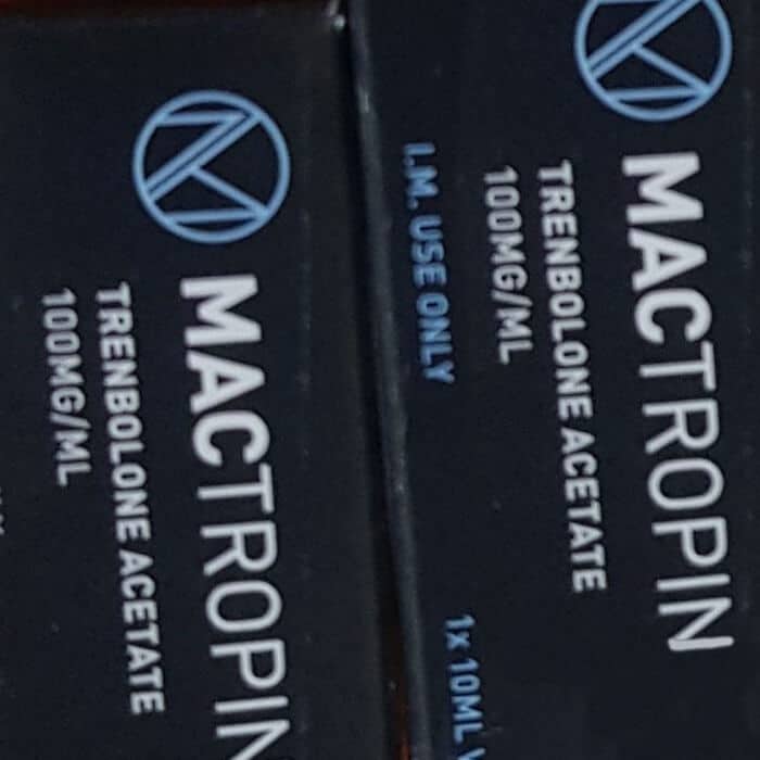 08/10/2019 BRUXELAS, BÉLGICA