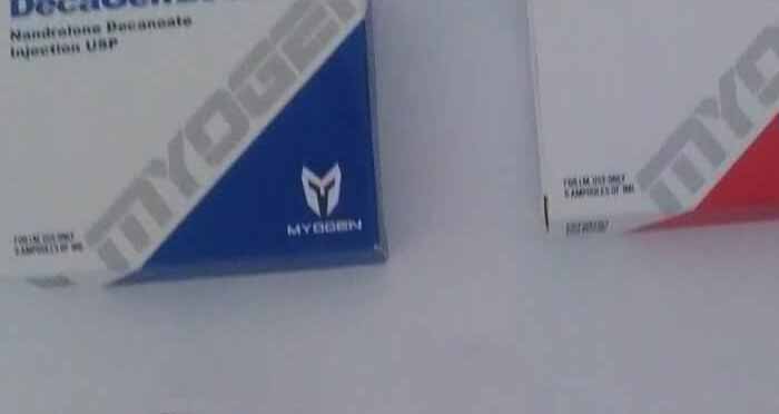 13.11.2019 VAULX EN VELIN FRANÇA