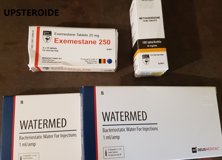 2020 11 22 5fba9c50b137f PEDIDO