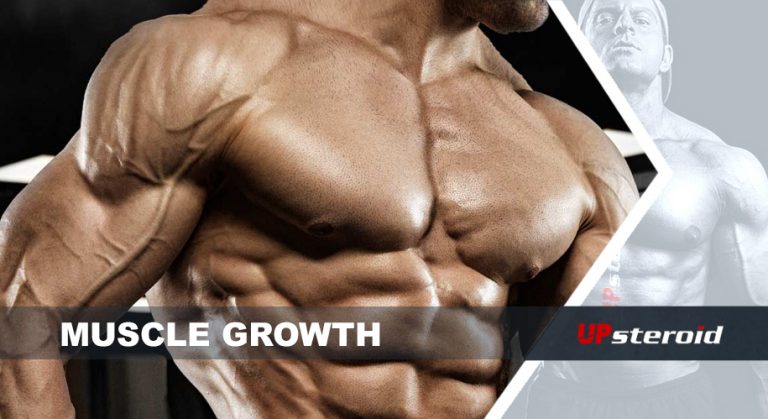 crescimento muscular