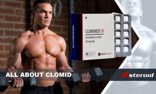 Tudo sobre o Clomid UP