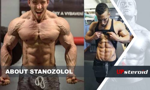 sobre o estanozolol