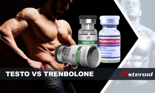 blog sobre testosterona e trembolona