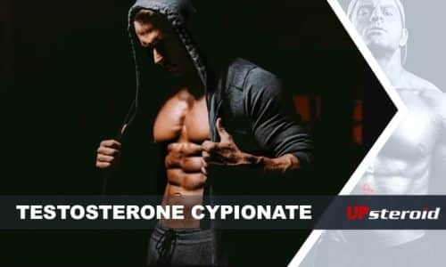 blog sobre cipionato de testosterona para musculação