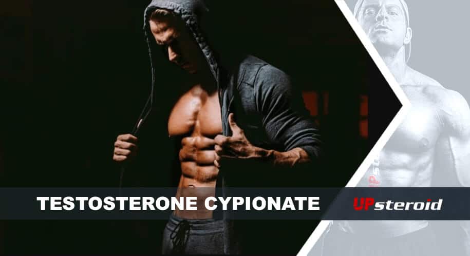 blog sobre cipionato de testosterona para musculação