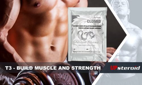blog sobre T3 para aumentar a força muscular