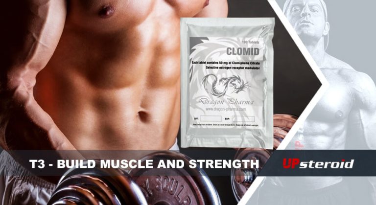blog sobre T3 para aumentar a força muscular