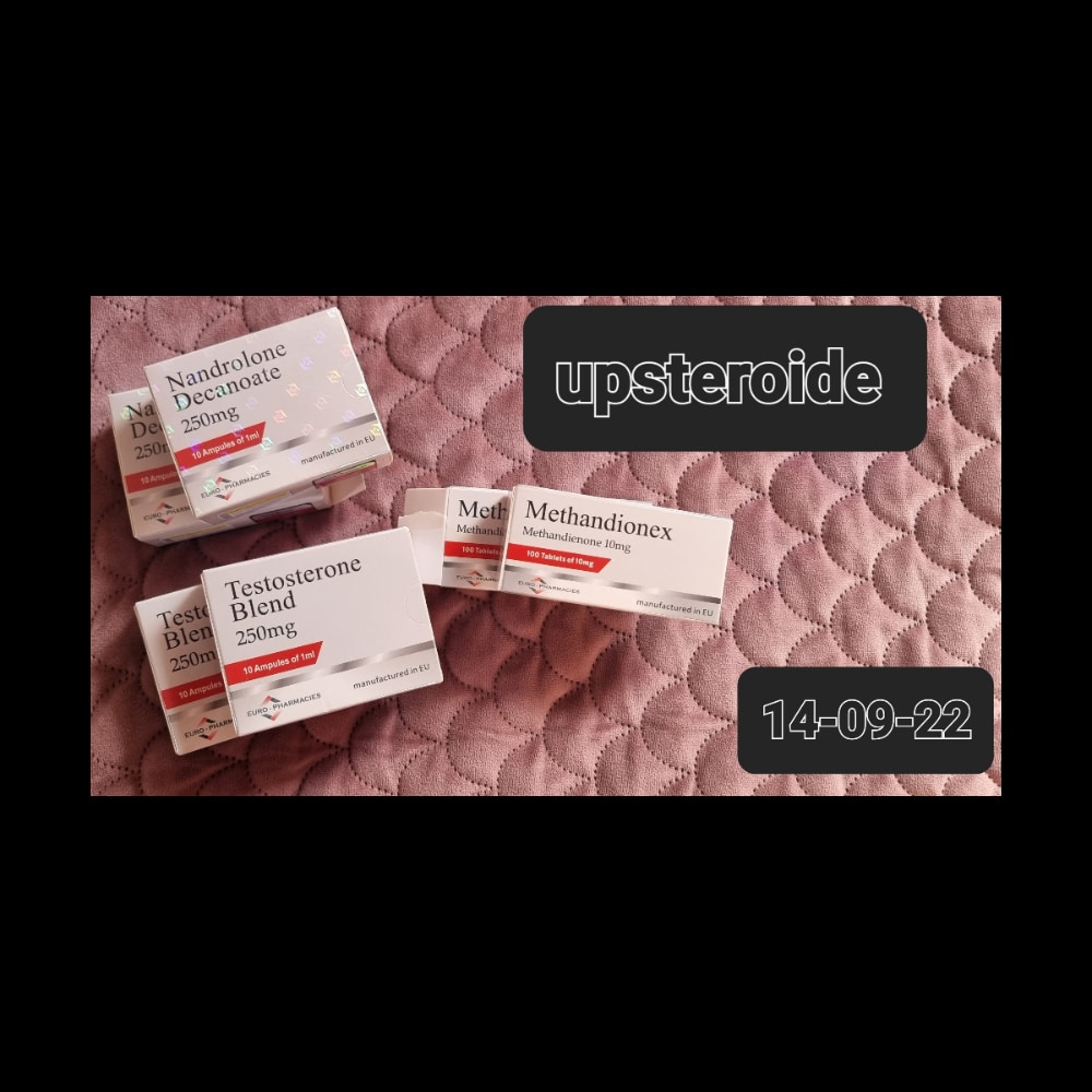 2022 09 14 6321eb87d9508 logotipo9 14 165445