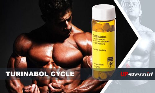 blog up ciclo de turinabol