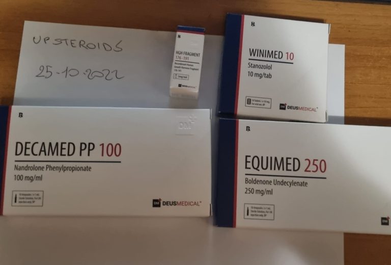 2022 10 25 6358228590d17 WhatsAppImage2022 10 25at19.52.27