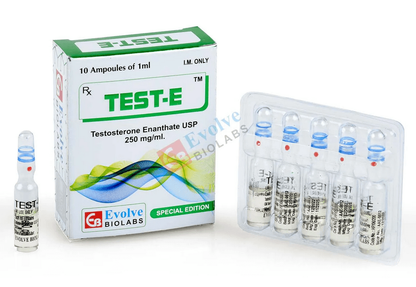 Enantato de Testosterona 250mg/ml (10 ampolas de 1ml) - Evolve Biolabs