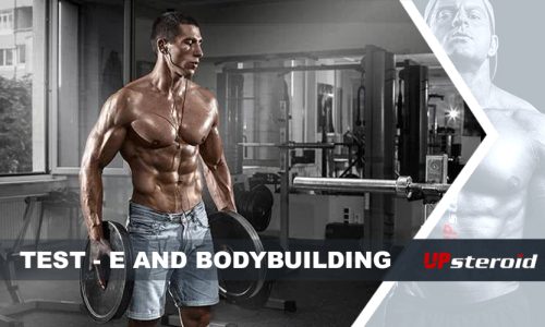 teste de blog e musculação