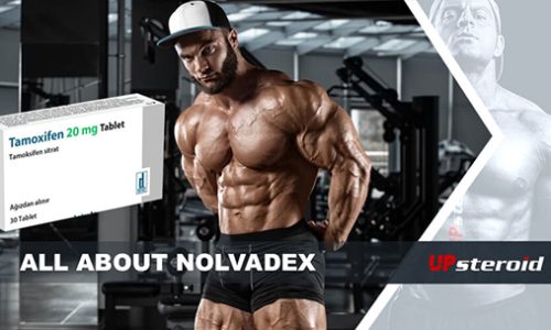 blog sobre nolvadex por e-mail