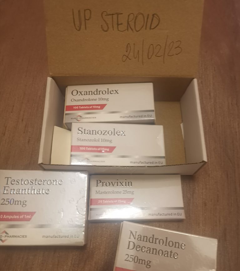 2023 03 01 63ff7316ba3be IMG 20230224 212038 editar 774564250337539