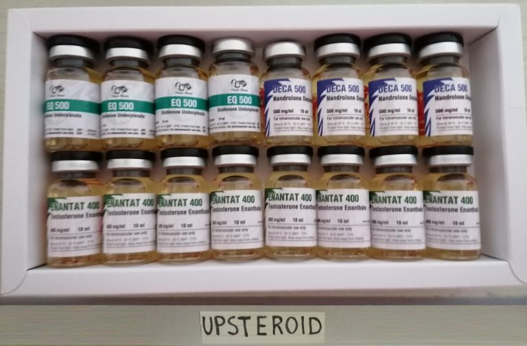 2023 03 17 6414abfe31081 IMG 20230304 213620 editar 757197564430290