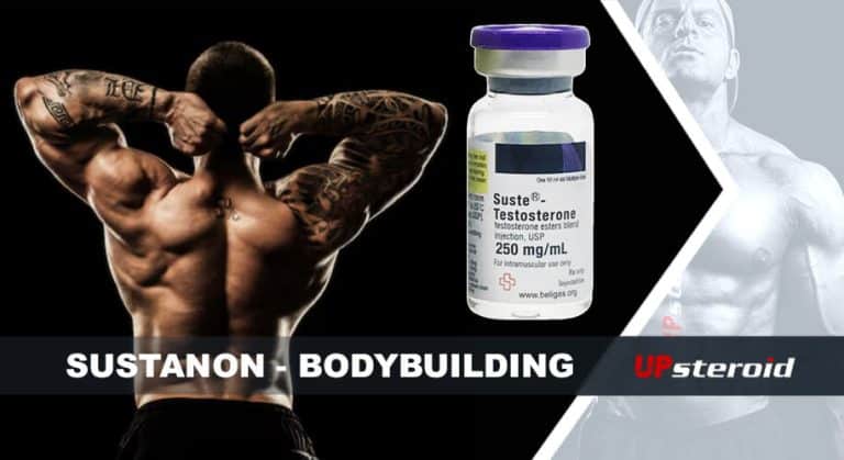 blog up susta fisiculturismo