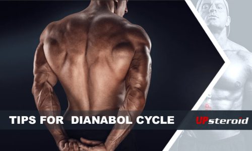 dicas de blog sobre o ciclo de dianabol
