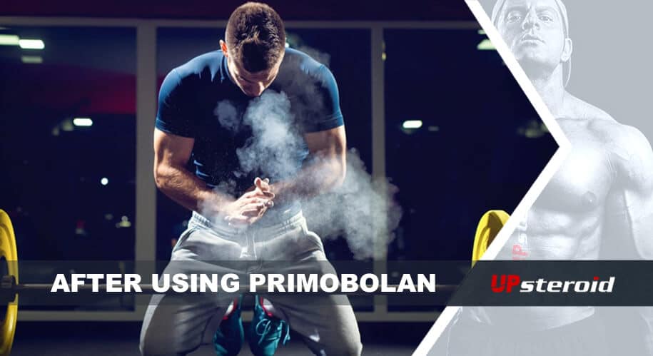 O que os fisiculturistas devem esperar de um ciclo de esteróides Primobolan | upesteróide | Compre seus esteroides anabolizantes online