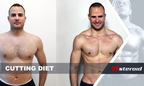 blog sobre dieta de corte