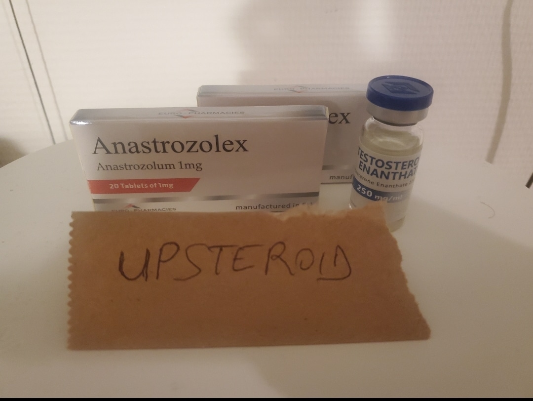 2023 08 23 64e5fdcdb29f6 Captura de tela 20230823 143549 Galeria