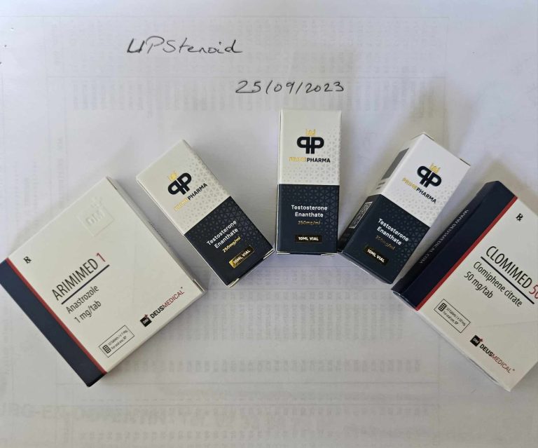 2023 09 25 65117847779f1 382103454 272992485200025 4784510958759846083 n