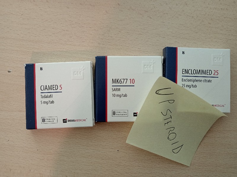 2023 10 17 652ef5b97b2e4 IMG 20231017 214250 cópia 800x600