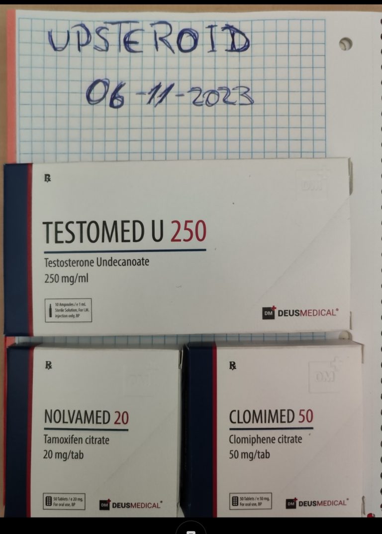 2023 11 09 654cdfec6ab68 Captura de tela 2023 11 09 11 34 03 063 com.miui .gallery editar