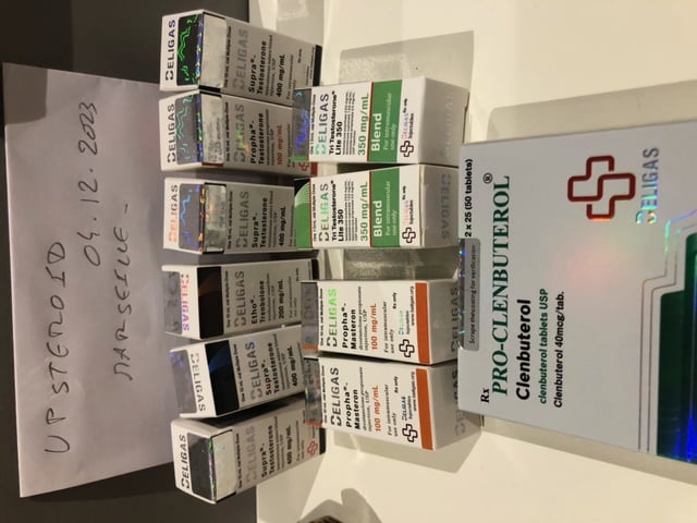 2023 12 08 6572fd6552e42 imagem0