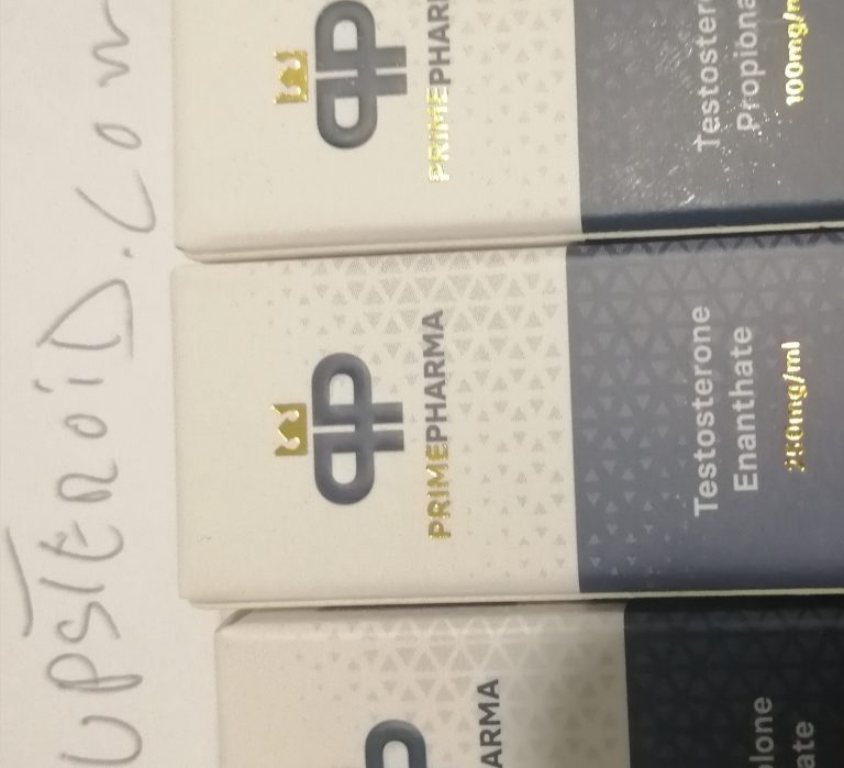 2024 01 05 659838cd9c664 IMG 20231117 222330 editar 146175103334327