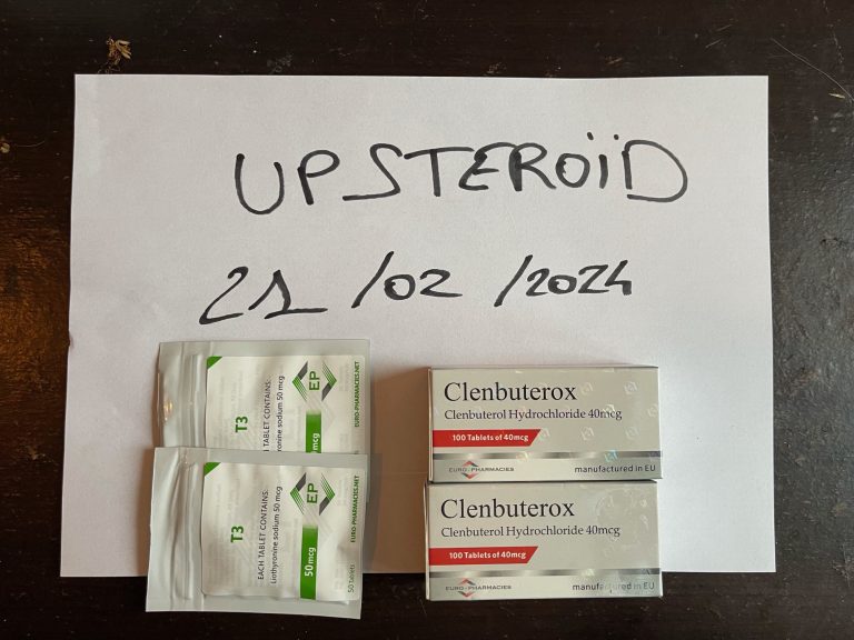 2024 02 21 65d62b8c7742f imagem0