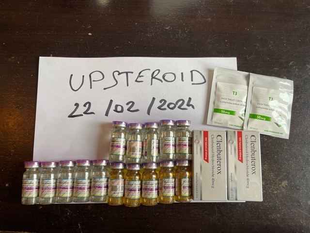 2024 02 22 65d785f66df78 imagem0