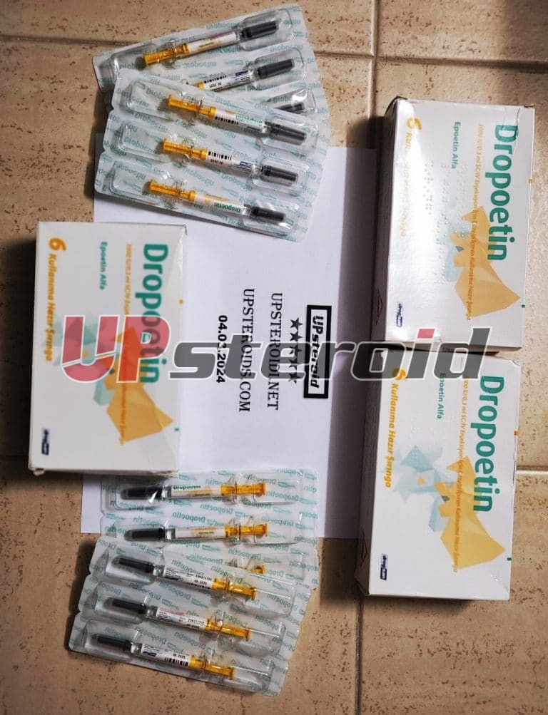 2024 03 04 65e5daff591cc Captura de tela 2024 03 04 15 28 12 767 com.miui .gallery editar