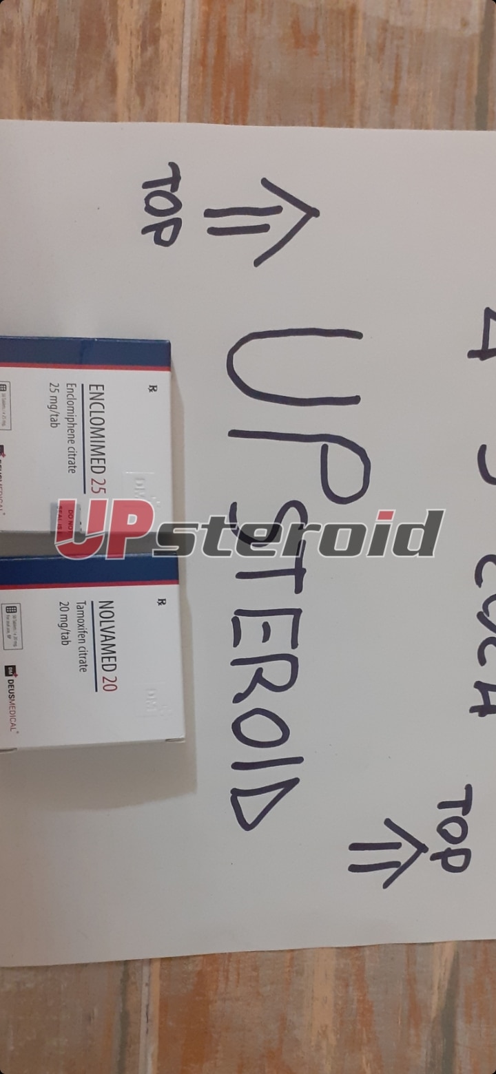 2024 03 04 65e635ce1c044 Captura de tela 20240304 215539 Galeria