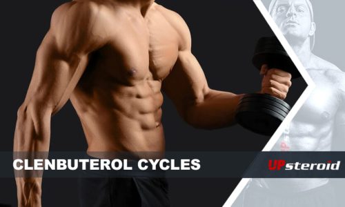 blog up clenbu ciclo
