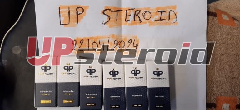 2024 04 23 6627a1049b50d primeiro