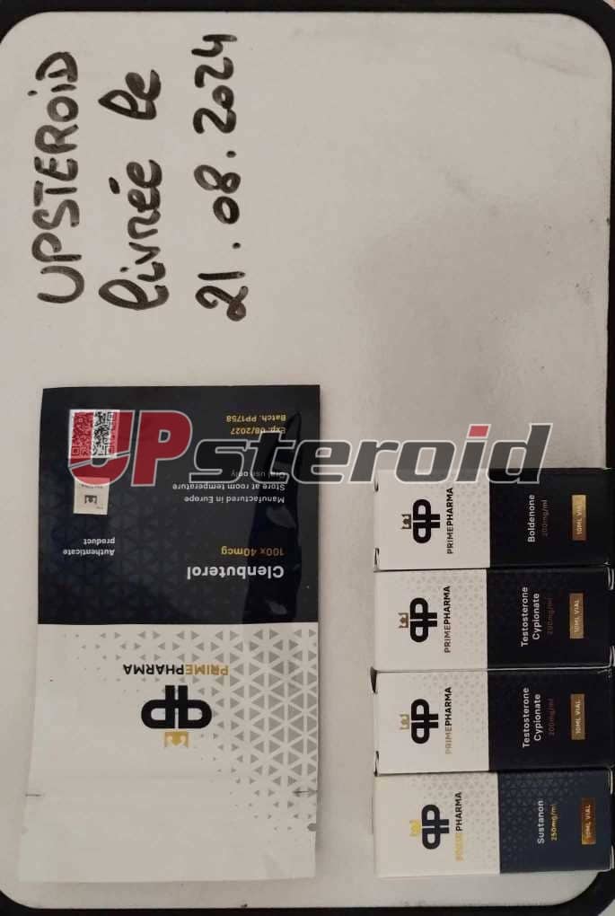 2024 08 22 66c7402cccfb7 Criação do Messenger 0d43f1c6 18cf 4778 899a 755a60d58aa1