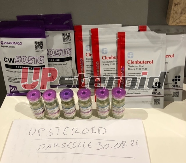 2024 09 10 66e0b74aeeec1 imagem0