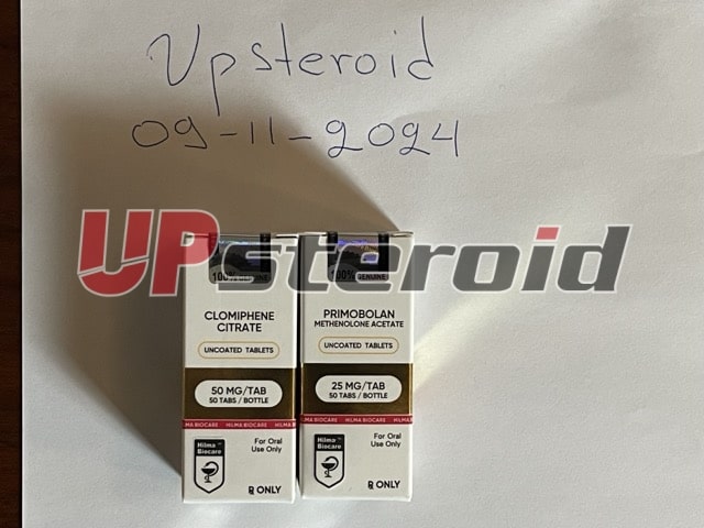 2024 11 23 6741aa424946d IMG 8538Médio