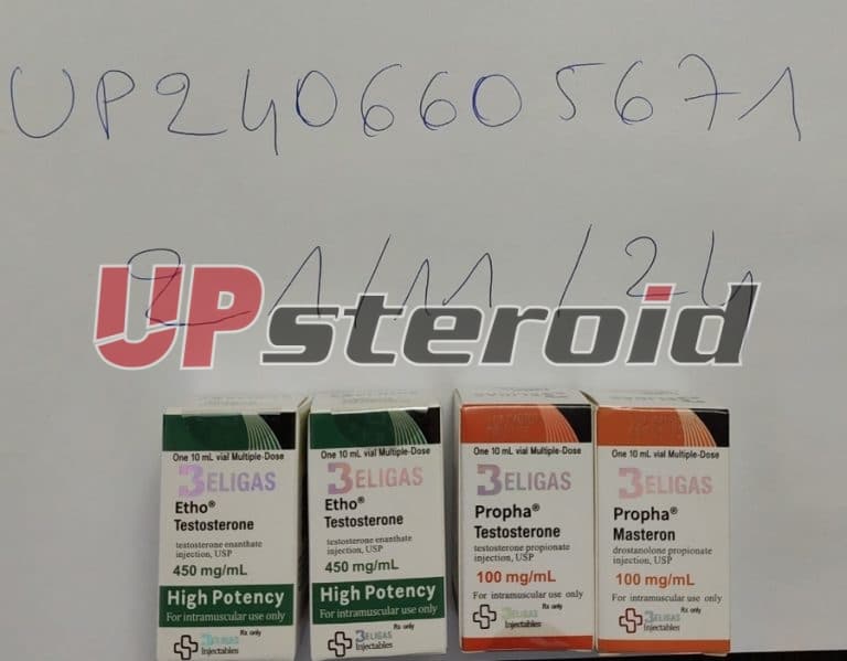 2024 11 24 67433a05dd592 Captura de tela 20241124 153605 Galeria