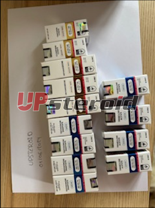 2024 11 26 67458cf3db30a Capturadocrandu2024 11 2608 53 56