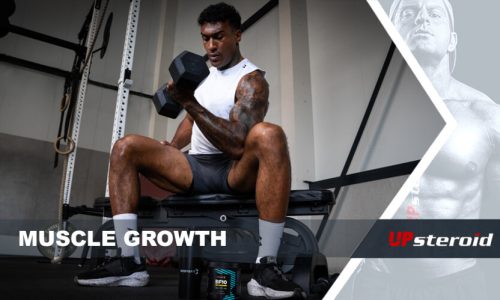 blog sobre CRESCIMENTO MUSCULAR