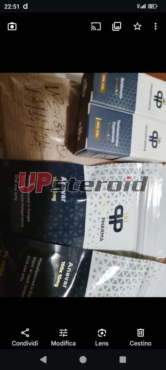 2024 12 02 674e2dd180b5e Captura de tela 20241202 225116