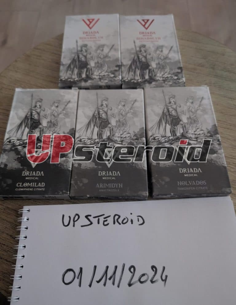 2024 12 27 676e8f1680731 Captura de tela 20241227 122649