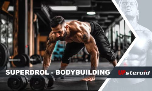 blog de musculação superdrol