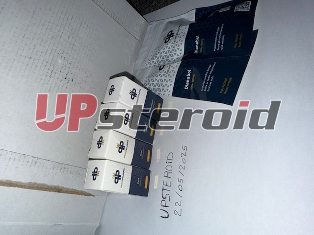 2025 05 26 68345fe1df6f2 imagem0