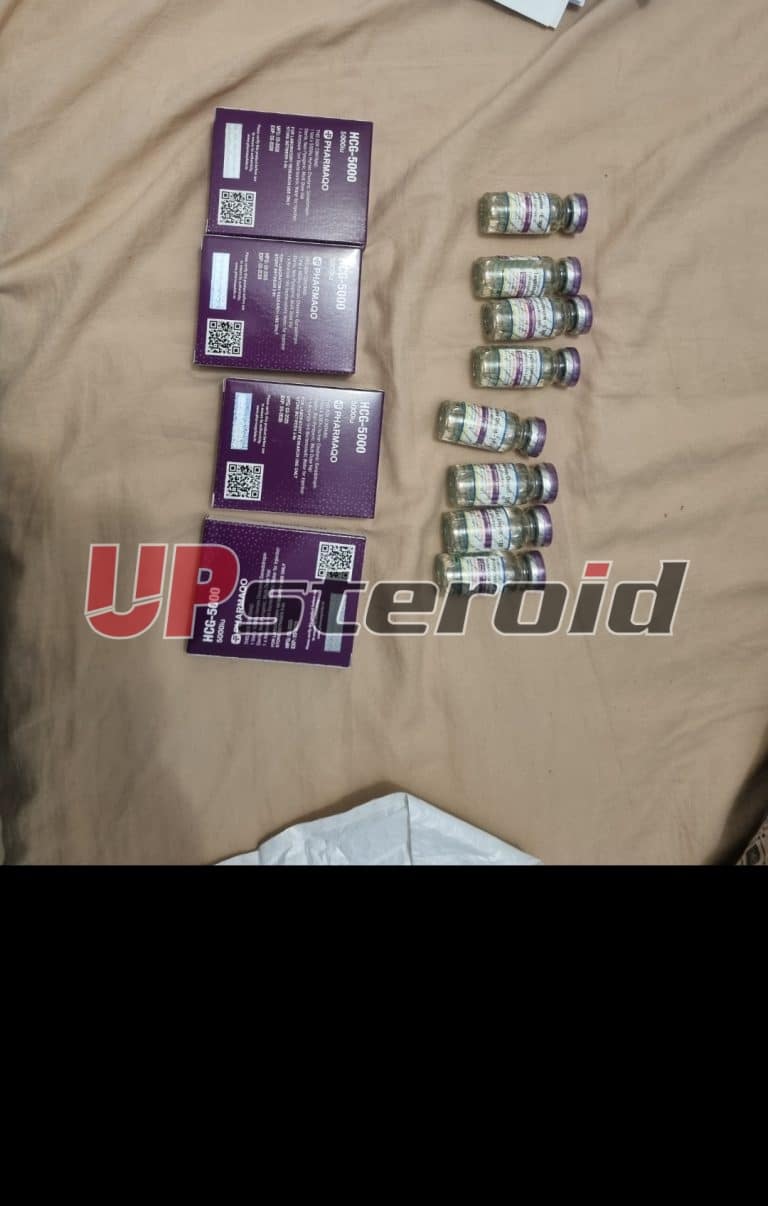 2025 08 04 68913be446f01 Captura de tela 20250805 010032 Galeria