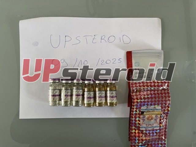 2025 10 09 68e7a0c998d63 imagem0