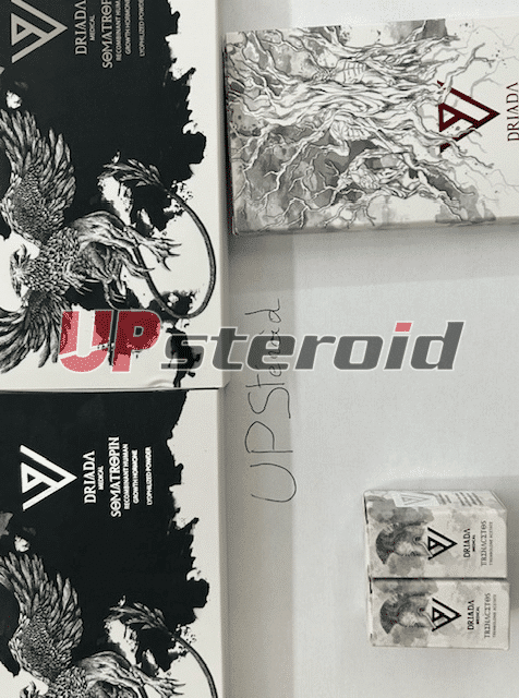 2025 10 30 6903ac151eda3 ImagemPNG