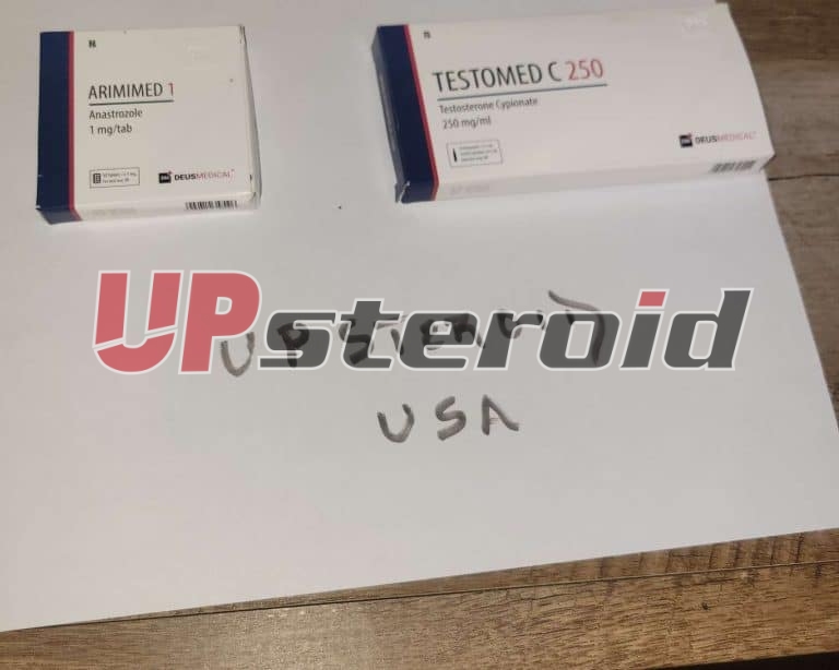 2025 10 31 6904483a59f69 Imagem 2025 10 31 00 24 12